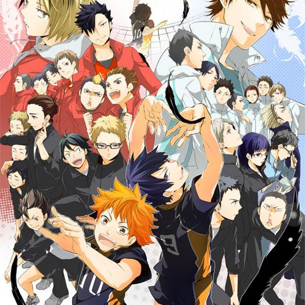 ハイキュー 星 を つかまえ て】ハイキュー COMPLETE BEST / DVD無し